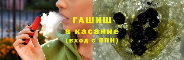 индика Гусев