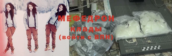 индика Гусев