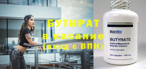 индика Гусев