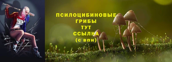 индика Гусев