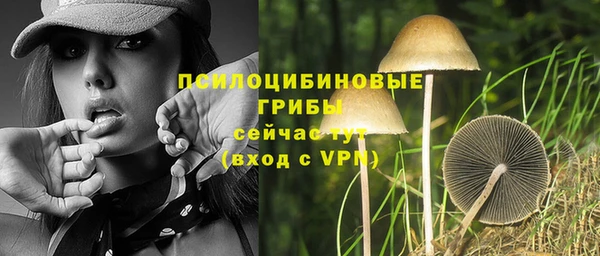 спиды Дмитров
