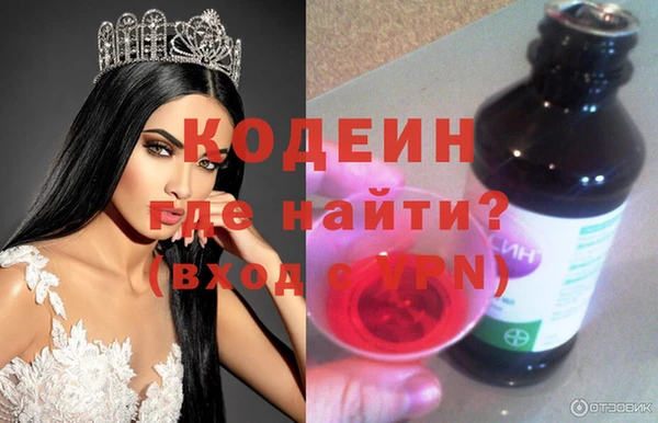 индика Гусев