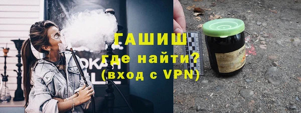 индика Гусев
