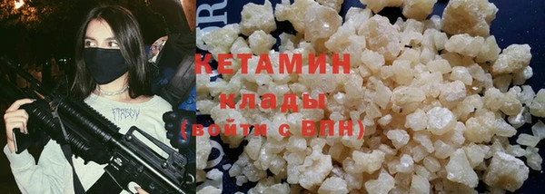 индика Гусев