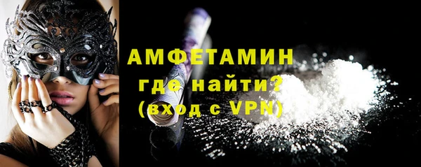 индика Гусев