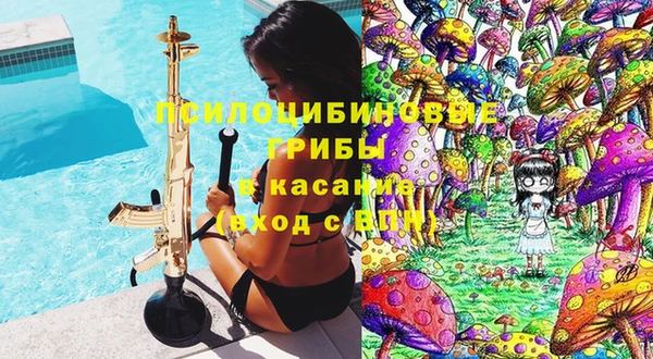 тгк Дмитровск